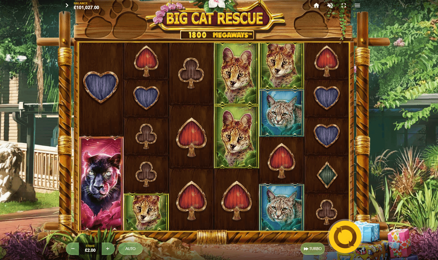 Big Cat Rescue Megaways slot
