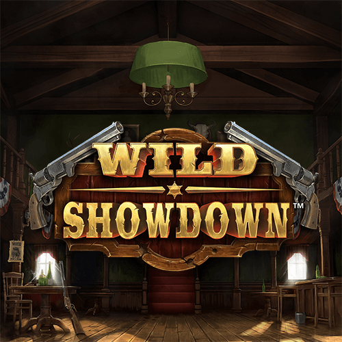 Wild showdown slot review